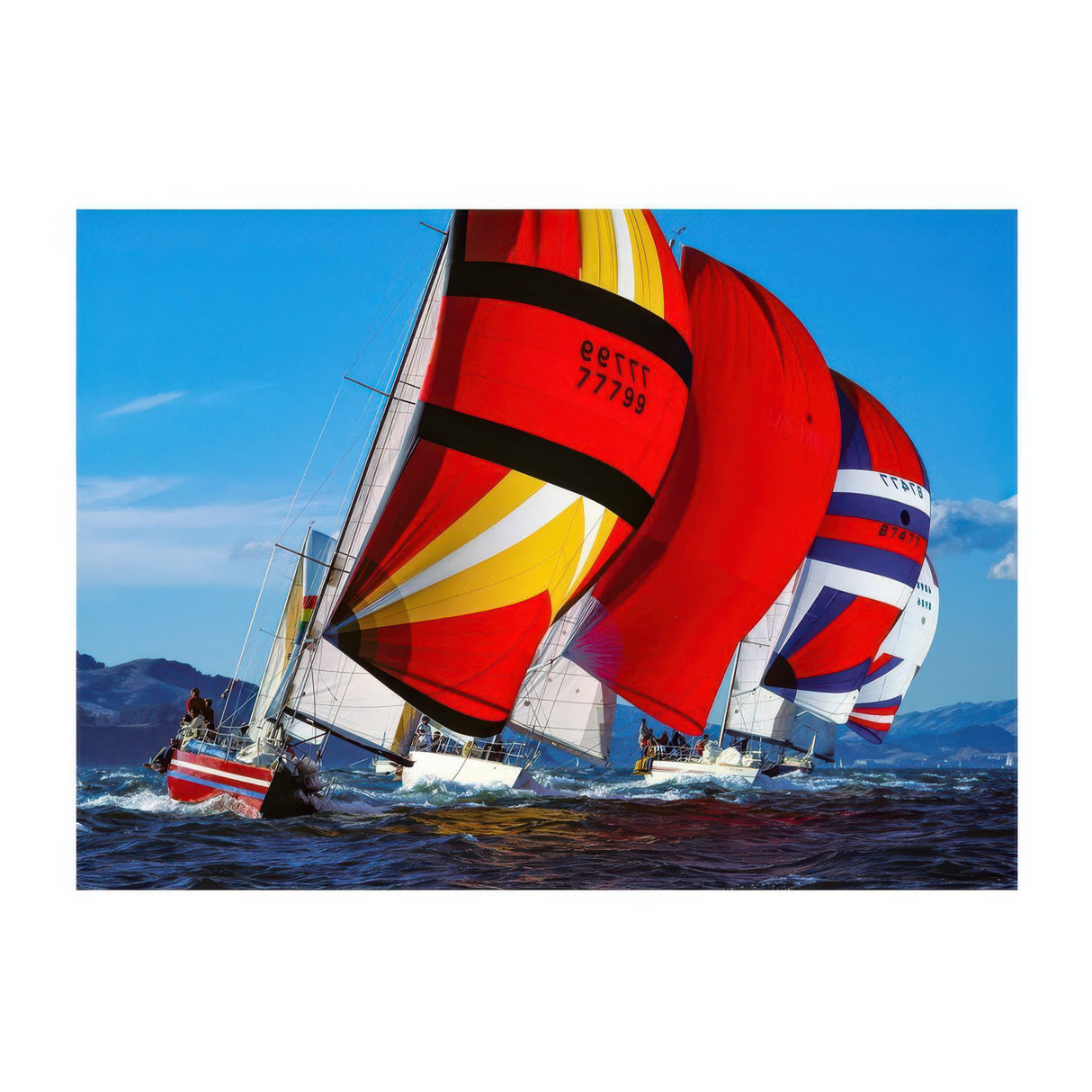 Sailing boat with colorful sails on a blue sky and ocean background