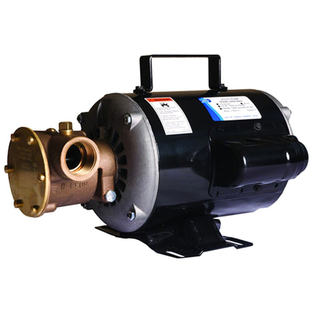 Jabsco Utility Pump with Motor