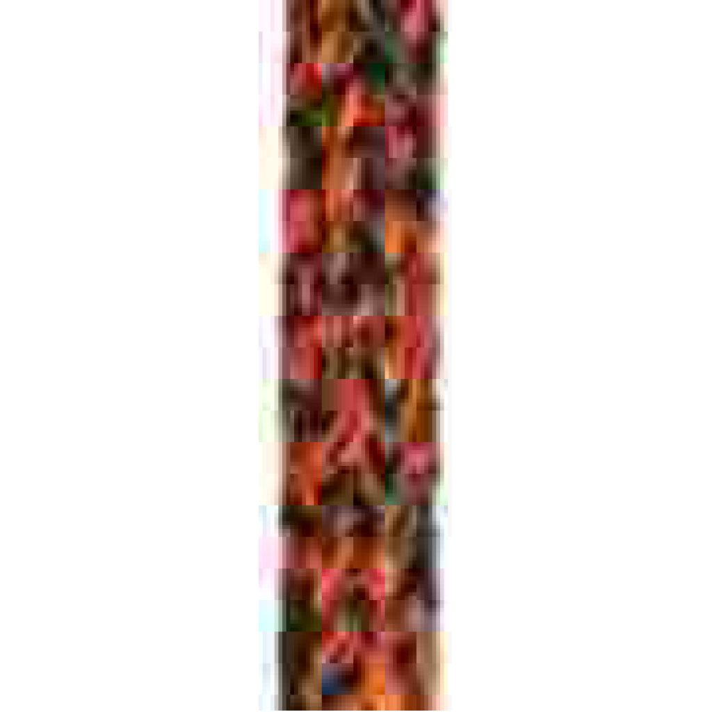 Maffioli Powertech 78 - 8mm Red $/Foot