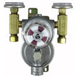 Trident LPG Regulator Wall Mount 2 Stage