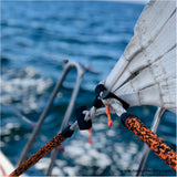 Jib Sail Carabiner - Mf 3 40mm on boat