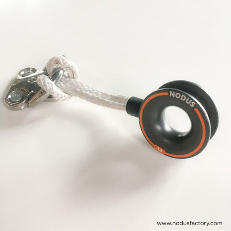 Nodus Loop and Closed Ring.
