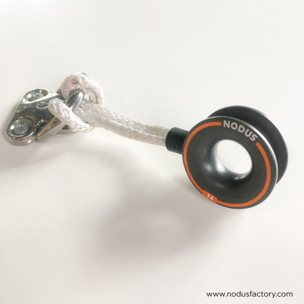 Nodus Loop and Closed Ring.