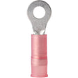 Ancor 22-18g #6 Nylon Ring Terminal