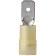 Ancor 12-10G Marine Nylon Male Disconnect