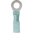 Ancor 16-14g 1/4" Heat Shrink Ring Terminal 100/pk