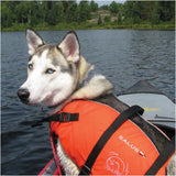 Husky wearing Salus vest.
