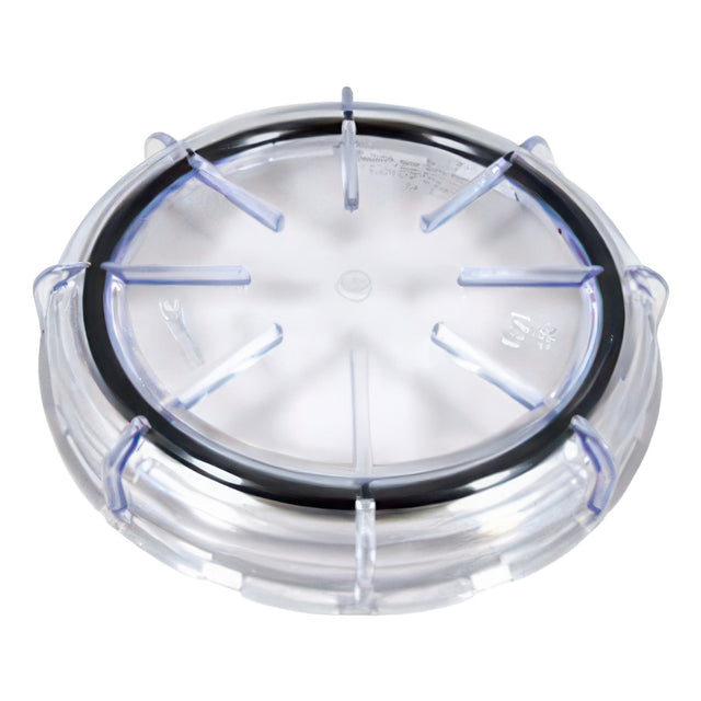 Clear plastic ring with black center on a white background
