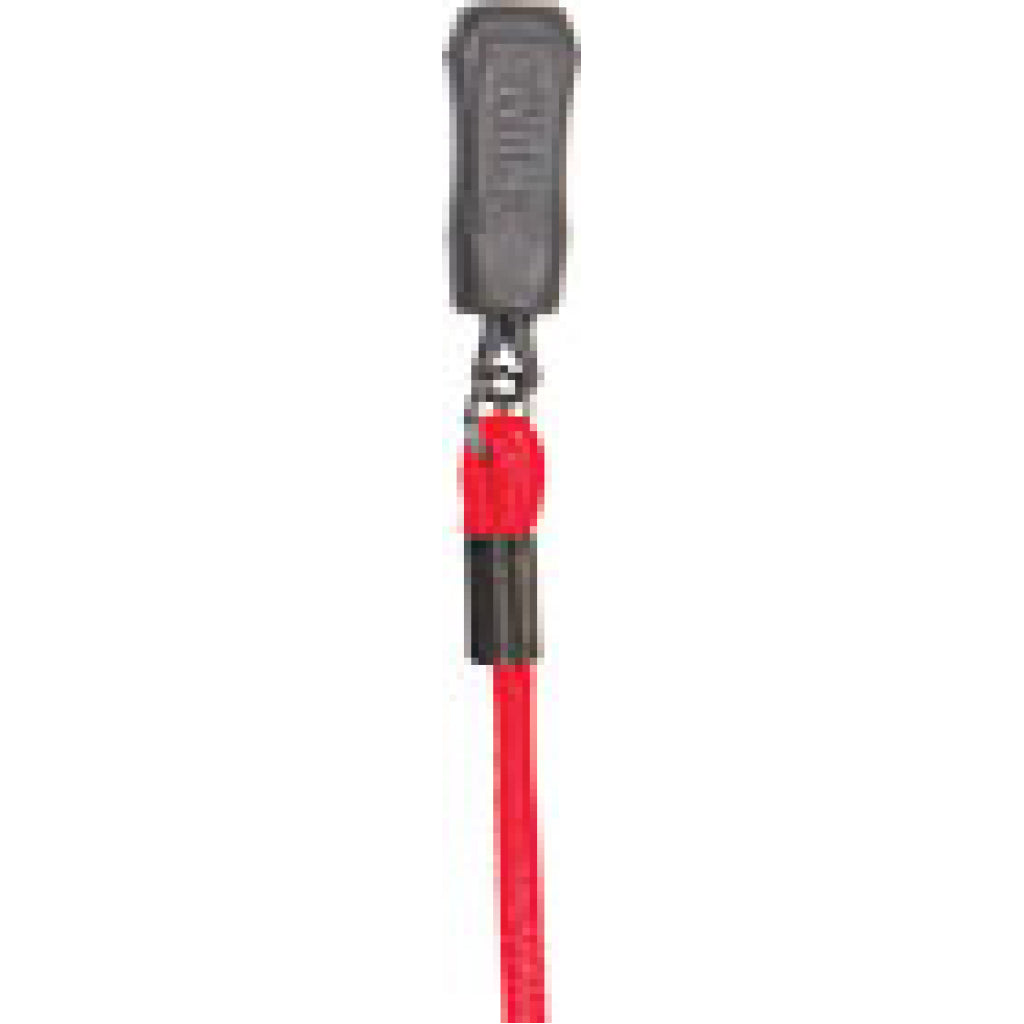 Red Chums Elastic Eyewear Retainer.