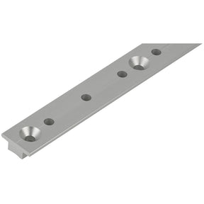 Schaefer 1" Silver T Track