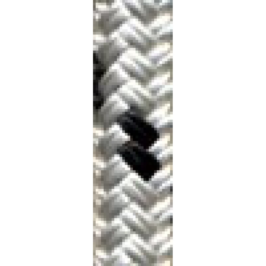 Polyester Braid - 5/16" White w/Black $/FT