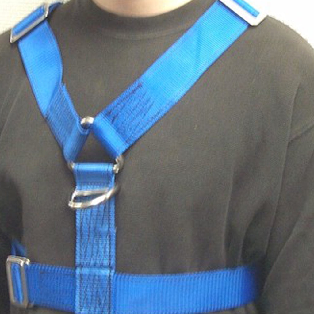 Extra large safety harness
