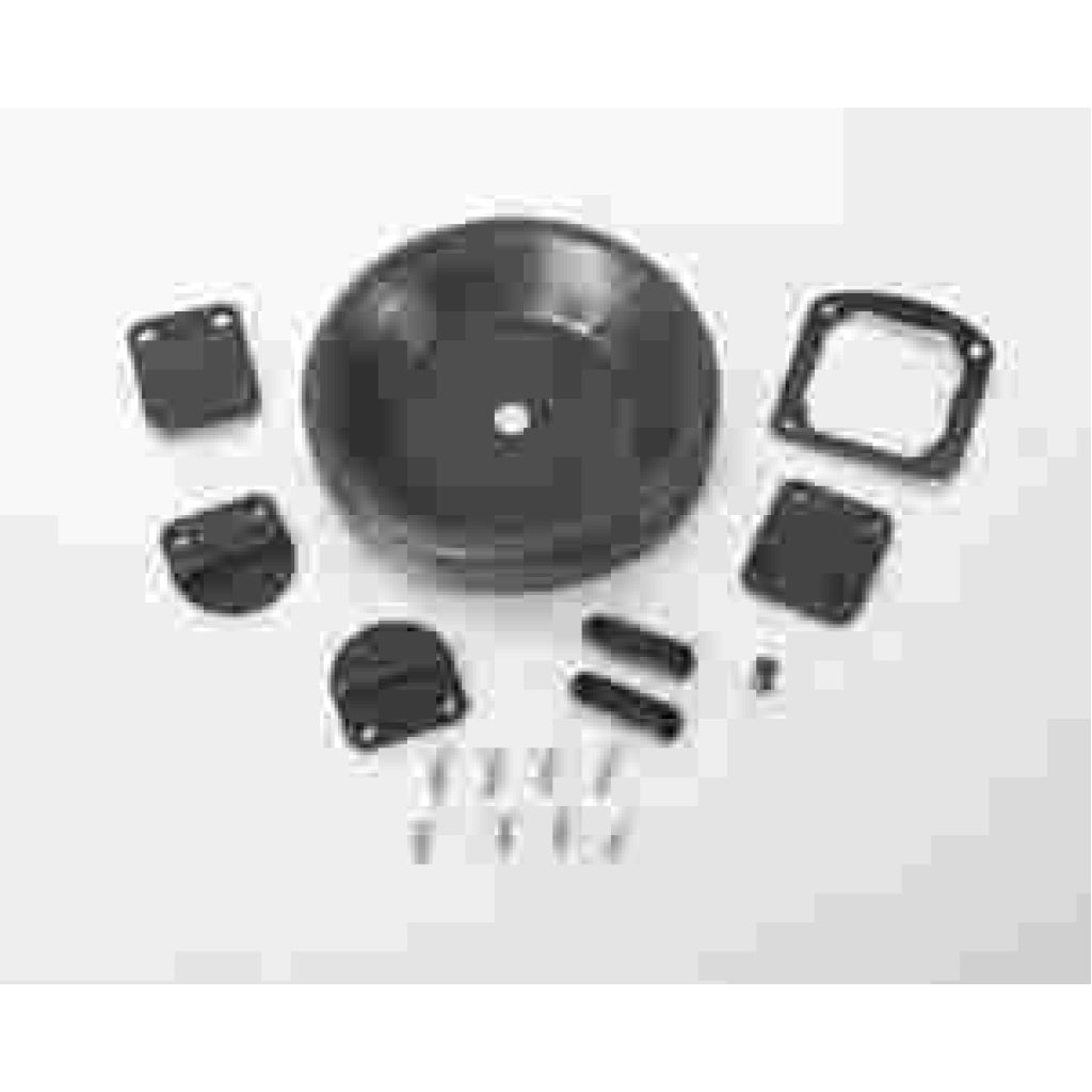 Whale Gusher 10 Neoprene Pump Service Kit