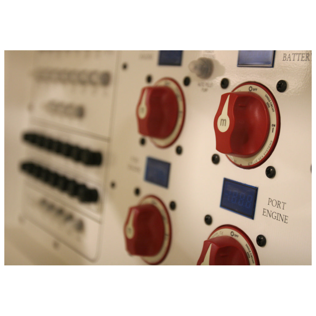 Blue Sea switch in panel.