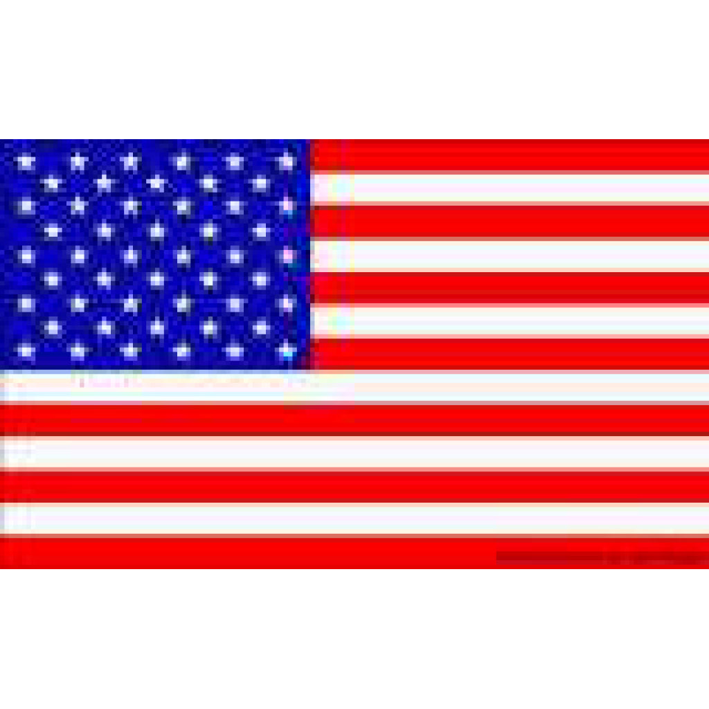 American Flag - 9" x 18"