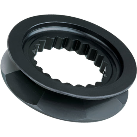 Ratchet for Swivel Ratchet Block